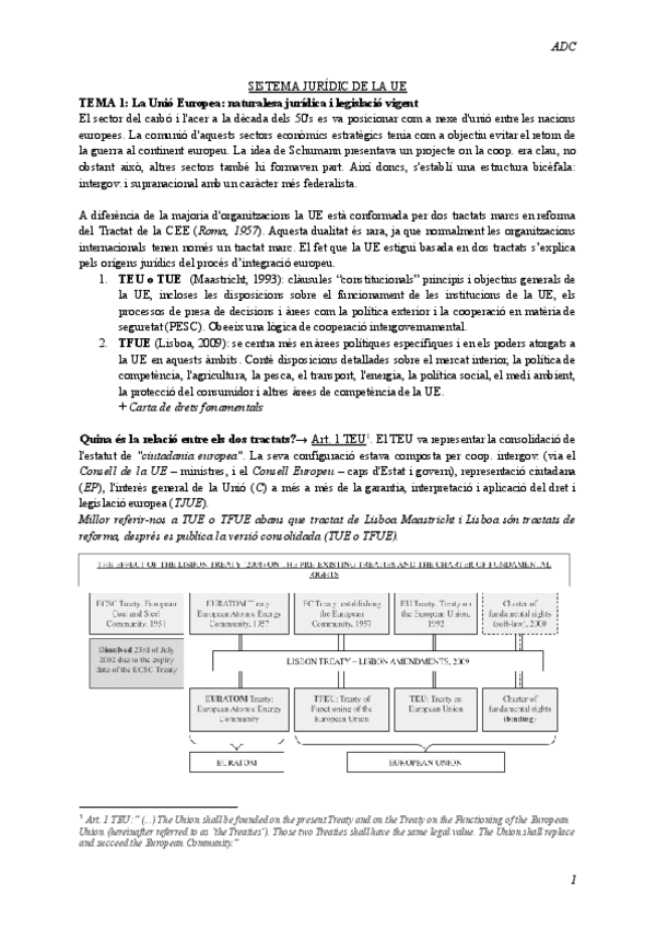SJUE-no-tema-231011.pdf