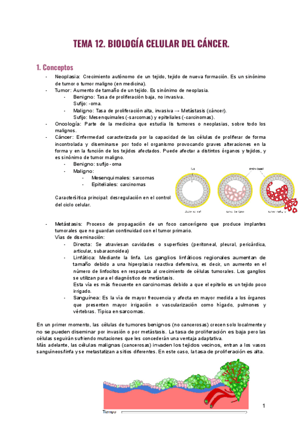 Tema-12.-Biologia-Celular-de-cancer-2.pdf