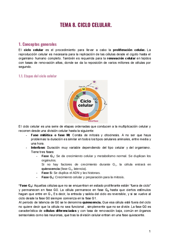 Tema-8.-Ciclo-celular.-1.pdf