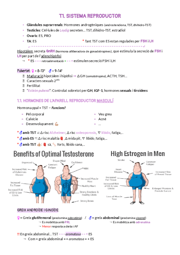 BLOC 10. PATOLOGIA REPRODUCTOR.pdf