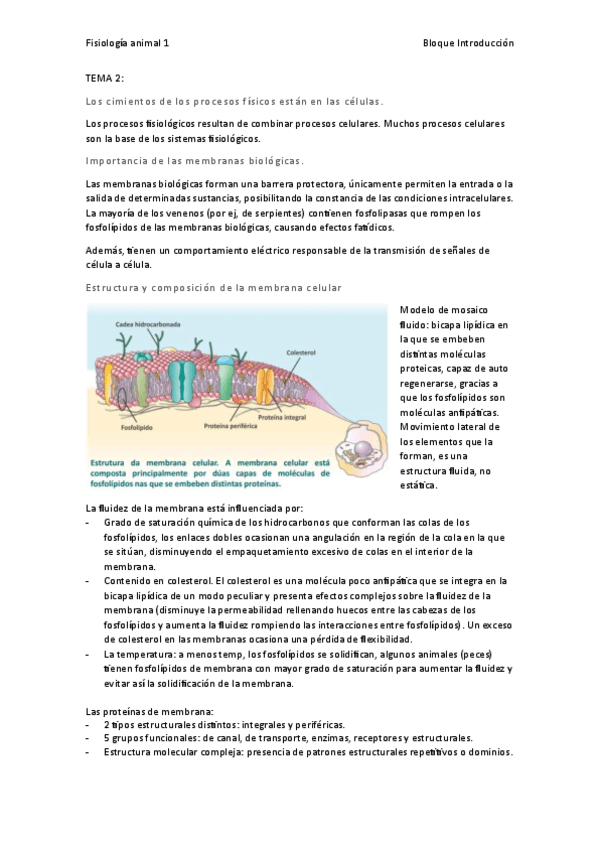 apuntes-FA1-1er-parcial.pdf