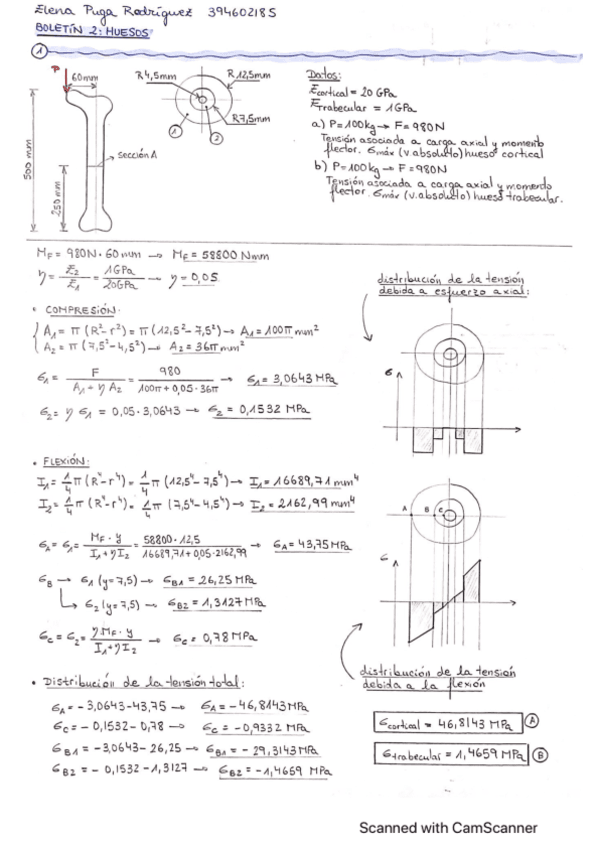 Boletin-2-Biomecanica-Elena.pdf