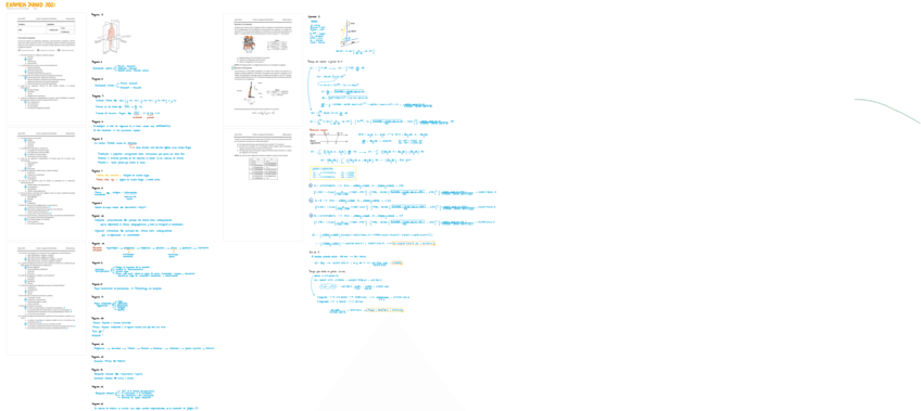 Examen-junio-2020.pdf