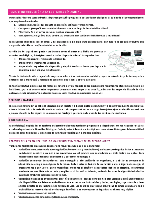 Tema-1.pdf