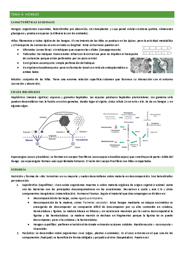Tema-4.pdf