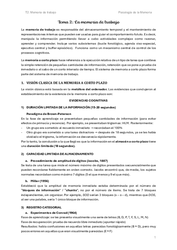 T2-Memoria-de-trabajo.pdf
