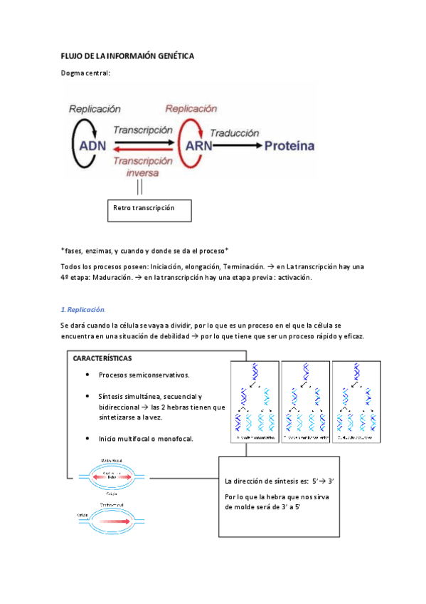 T9-Flujo-de-la-informacion-genetica.pdf