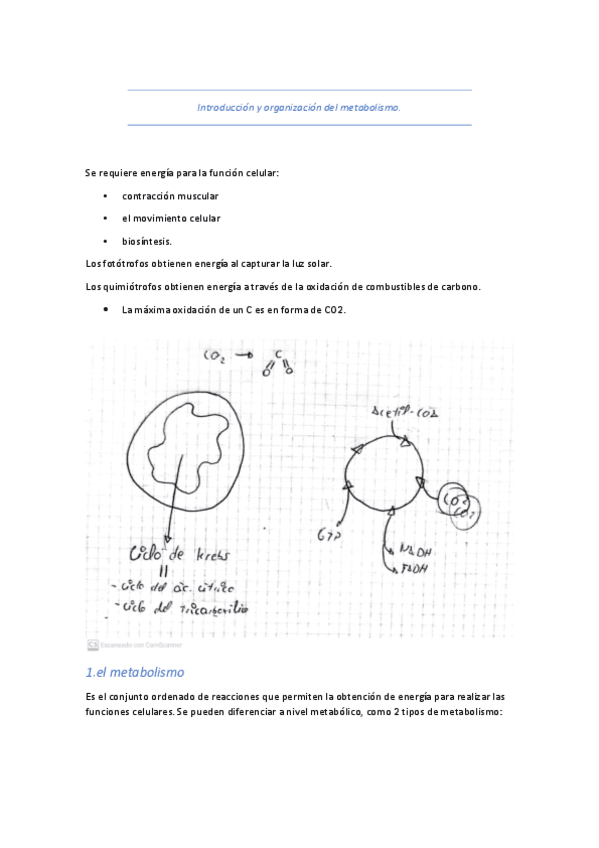 T10-Introduccion-metabolismo.pdf