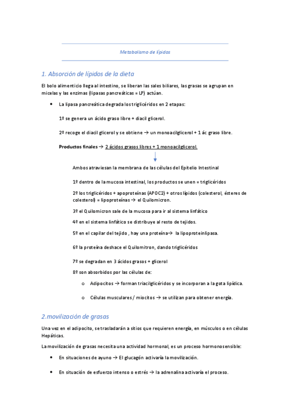 T14-Metabolismo-lipidos.pdf
