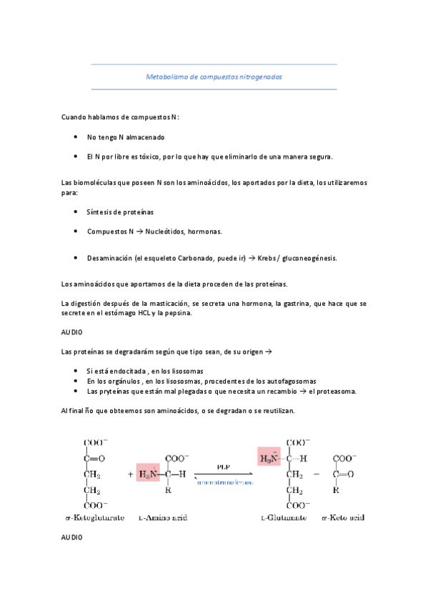 T15.pdf