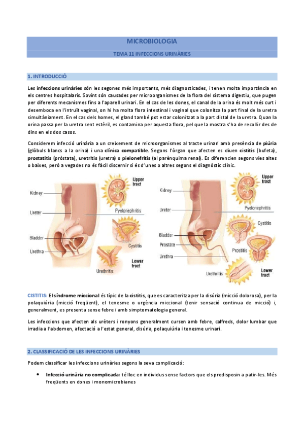 2n-parcial-Microbiologia.pdf