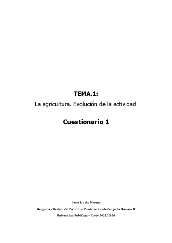 ciuestionario1IreneSancho.pdf