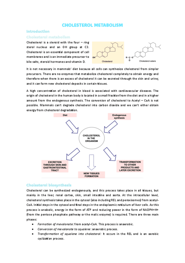 10.CHOLESTEROL-METABOLISM.pdf