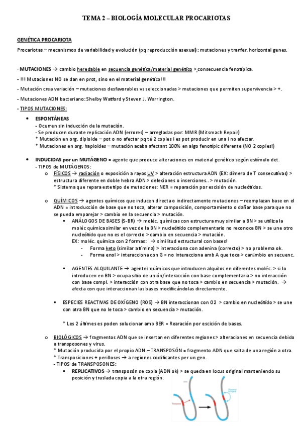 T2-Biologia-molecular.pdf
