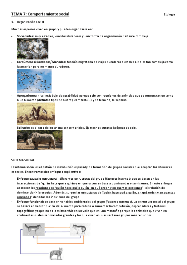 TEMA-7.-etologia.pdf