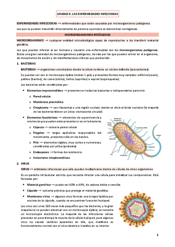 UNIDAD-9.-LAS-ENFERMEDADES-INFECCIOSAS.pdf