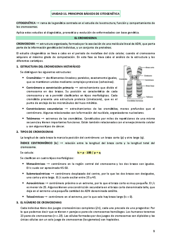 UNIDAD-11.-PRINCIPIOS-BASICOS-DE-CITOGENETICA.pdf