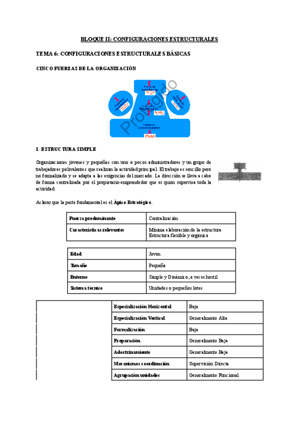 t6-organizacion-empresas.pdf