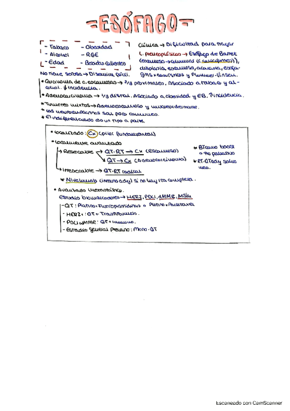 6.1-TUMORES-DIGESTIVOS-ALTOS-Esofago-estomago-y-pancreas.pdf