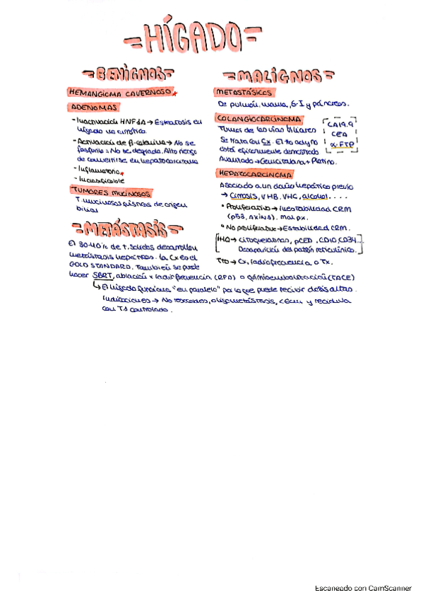 6.2-TUMORES-HEPATICOS.pdf