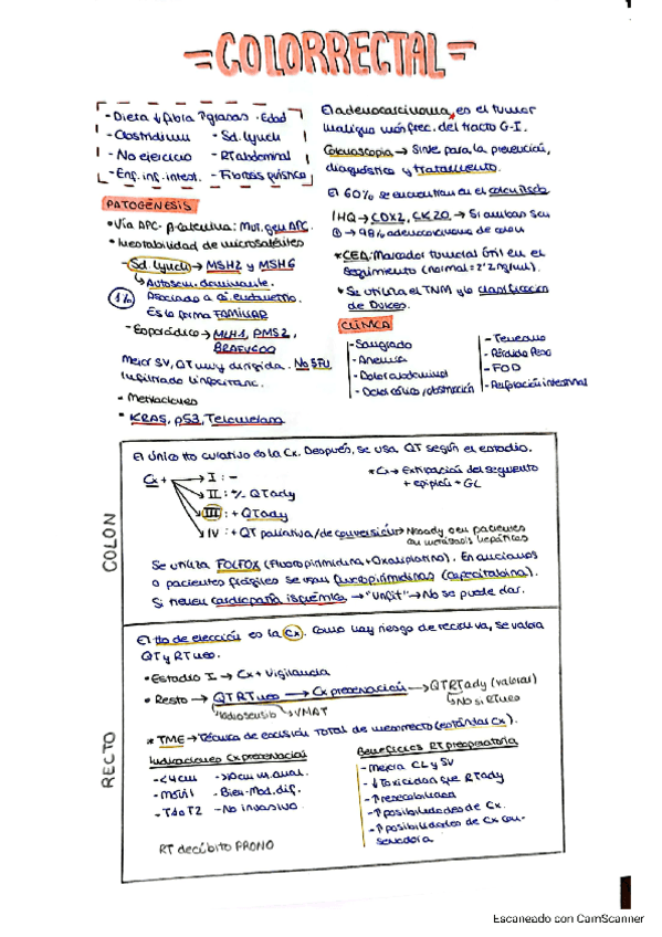 6.3-TUMORES-DIGESTIVOS-BAJOS-Colon-recto-y-canal-anal.pdf