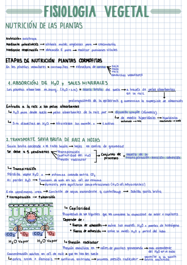 Fisiologia-vegetal.pdf