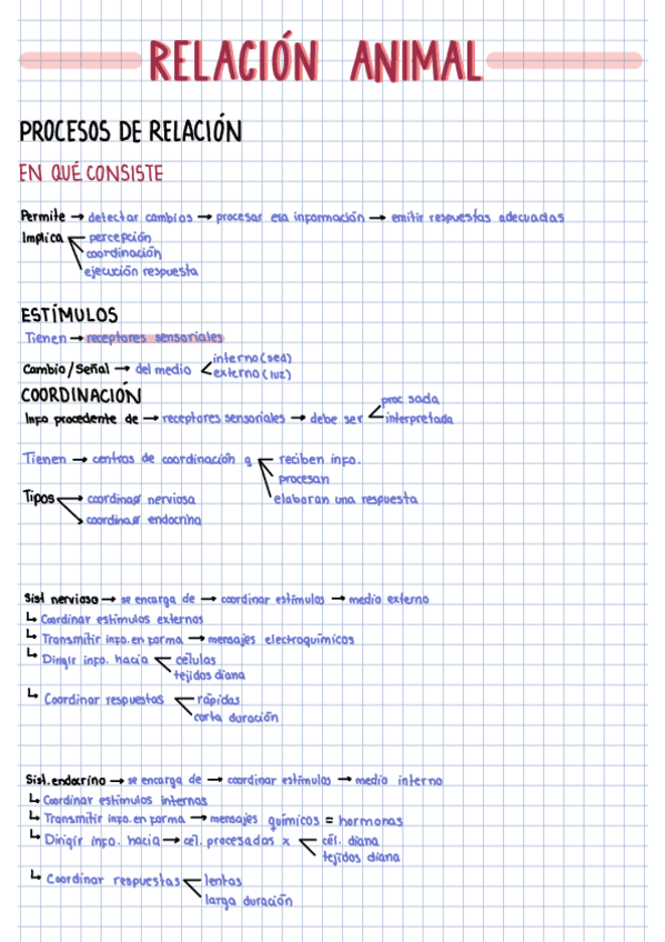 Relacion-Animal.pdf