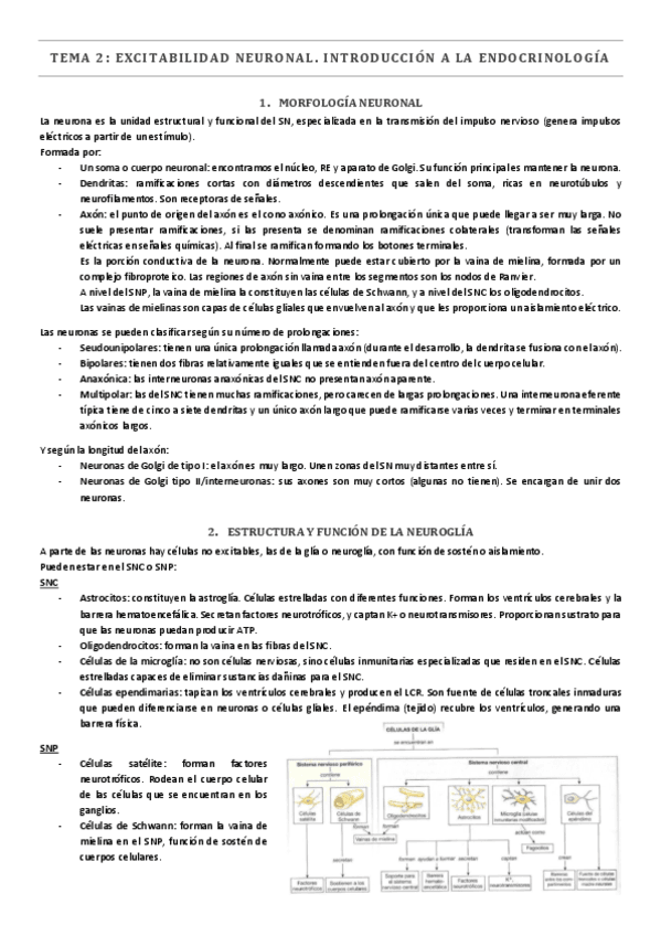 TEMA-2.-Excitabilidad-neuronal.-Introduccion-a-la-endocrinologia.pdf