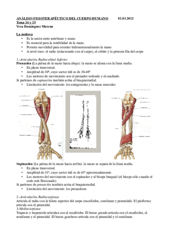 01.03.2012. Tema 14 y 15.pdf