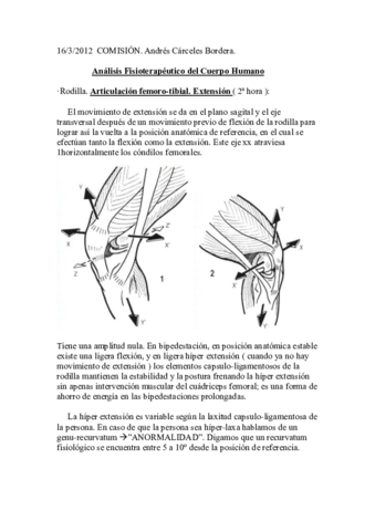 16-03-12 Tema articuladción femoro-tibial..pdf