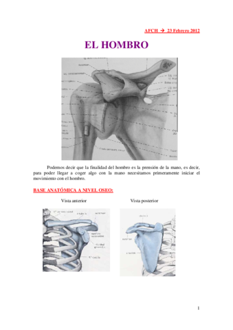 23-2-12 HOMBRO.pdf