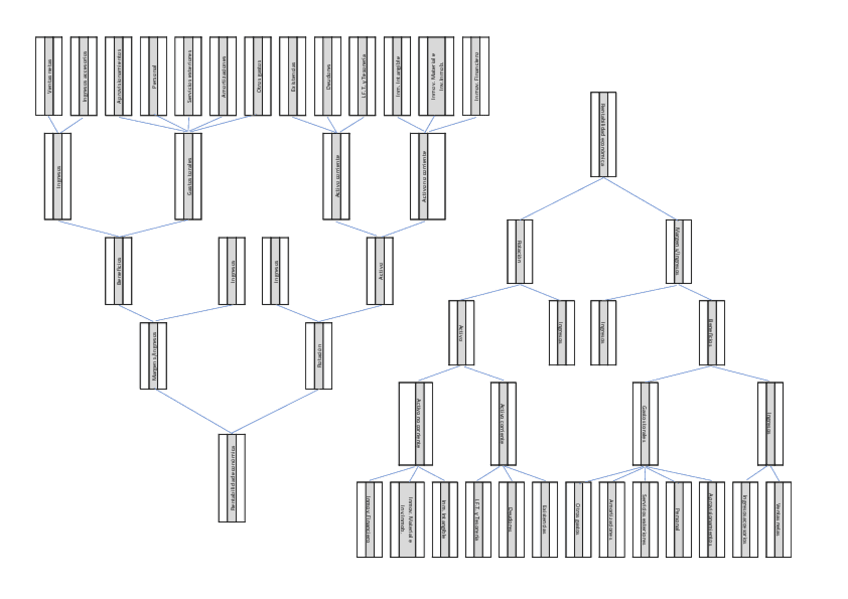 Ejercicio-Piramide-de-ratios.pdf