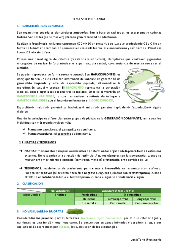 Ciencias-basicas-II-5 Reino plantas.pdf