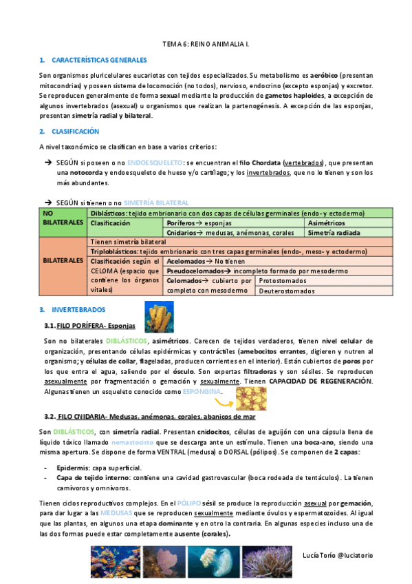 Ciencias-basicas-II-6 Reino animal I.pdf