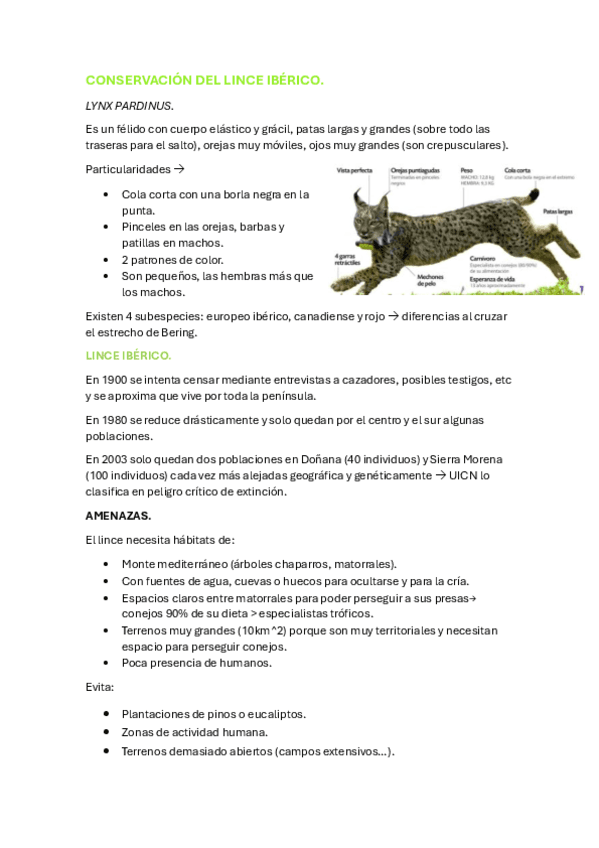 CONSERVACION-DEL-LINCE-IBERICO.pdf