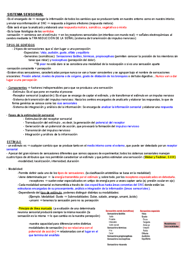 Sensorial-Arce.pdf