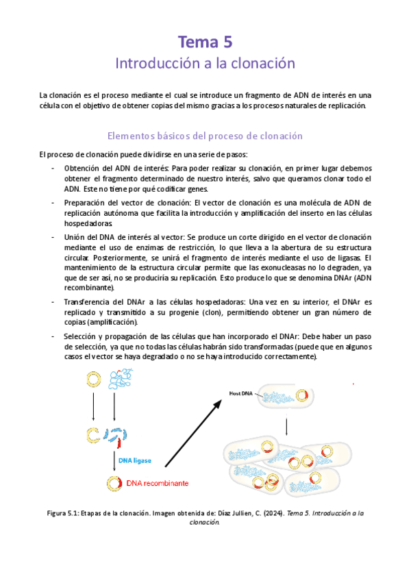 Tema-5-Introduccion-a-la-clonacion.pdf