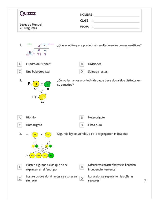 Leyes-de-MENDEL-Y-GENETICA-PDF.pdf