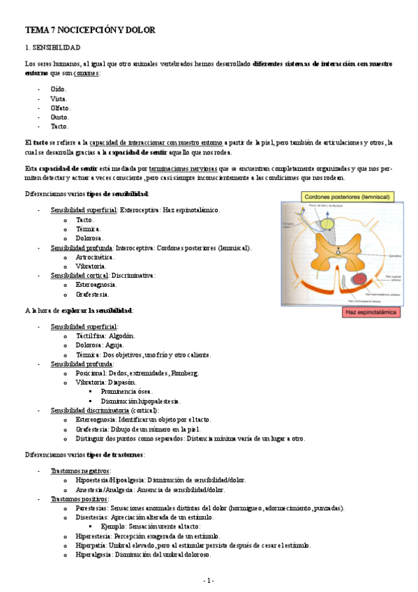 PATOLOGIA-TEMA-7-NOCICEPCION-Y-DOLOR.pdf