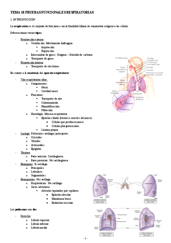 PATOLOGIA-TEMA-10-PRUEBAS-FUNCIONALES-RESPIRATORIAS.pdf