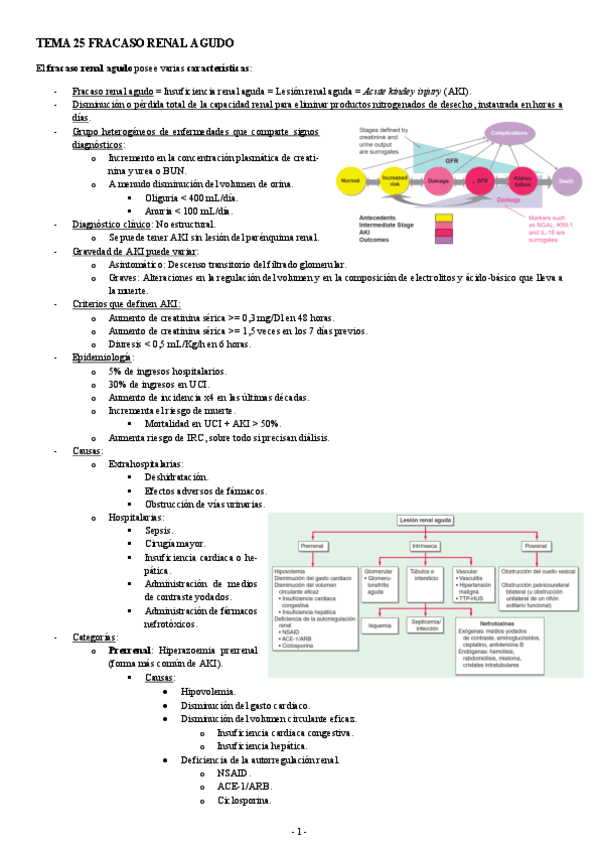 PATOLOGIA-TEMA-25-FRACASO-RENAL-AGUDO.pdf