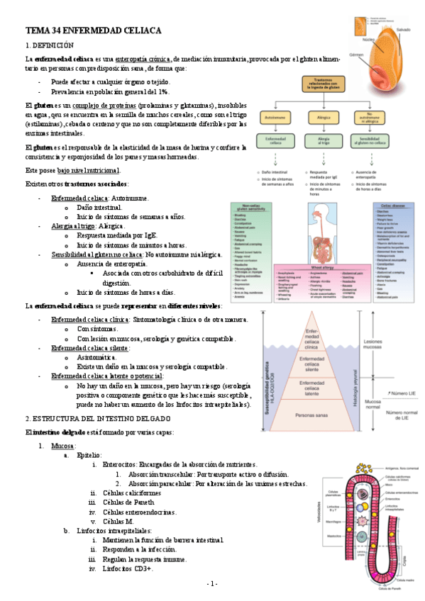PATOLOGIA-TEMA-34-ENFERMEDAD-CELIACA.pdf
