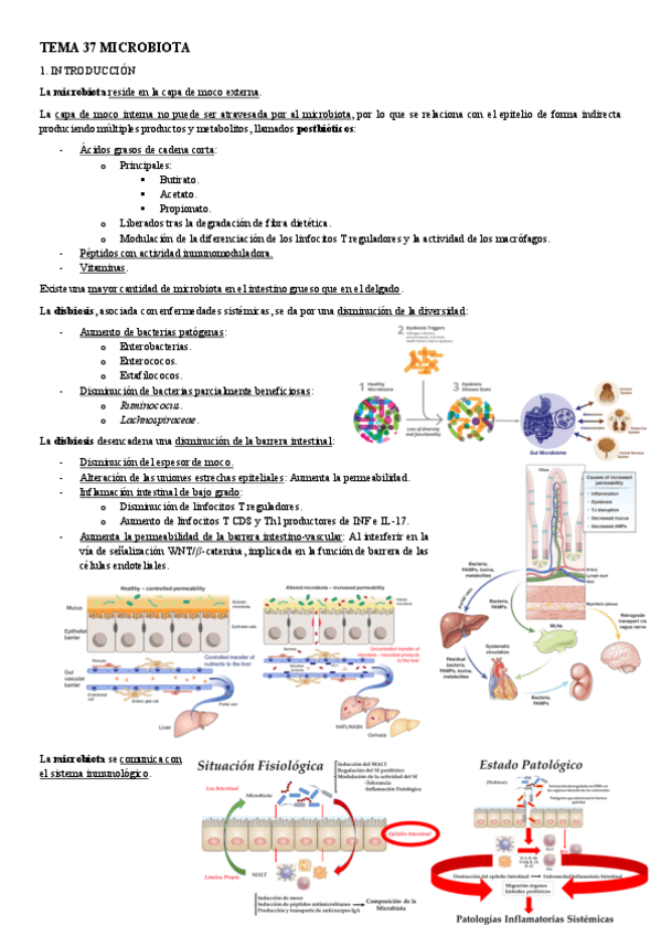 PATOLOGIA-TEMA-37-MICROBIOTA.pdf