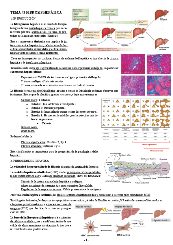 PATOLOGIA-TEMA-43-FIBROSIS-HEPATICA.pdf