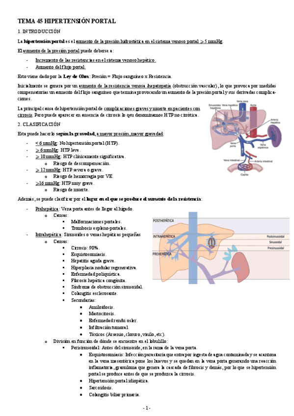 PATOLOGIA-TEMA-45-HIPERTENSION-PORTAL.pdf