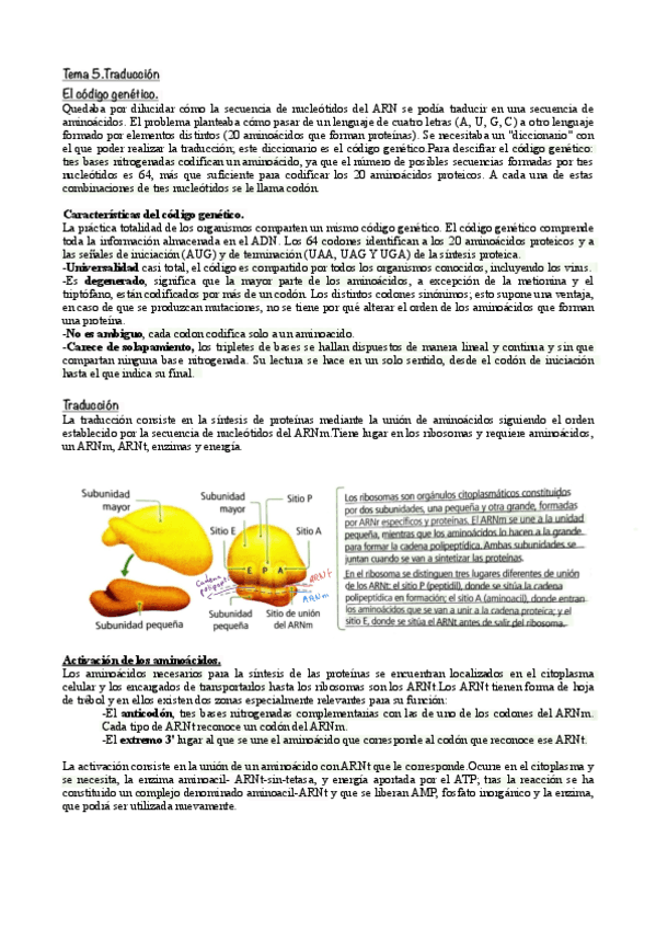 Tema-5.Traduccion.pdf