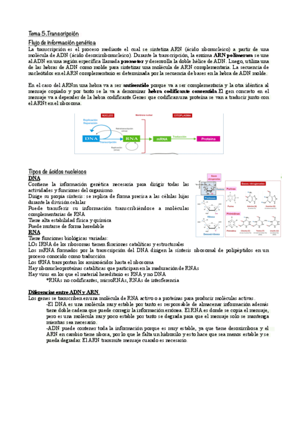 Tema-4.Transcripcion.pdf