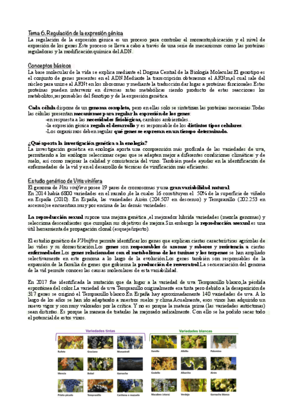 Tema-6.Regulacion-de-la-expresion-genica.pdf