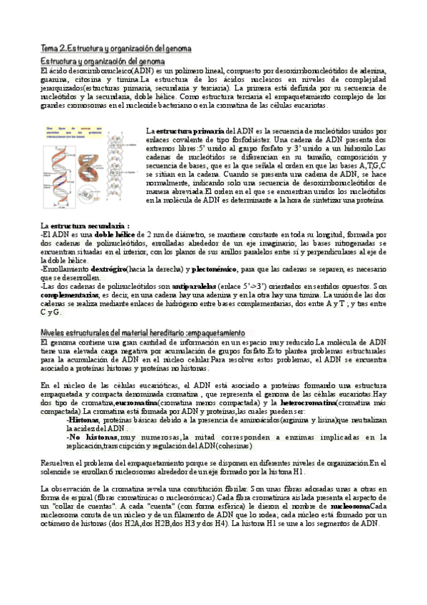 Tema-2.Estructura-y-organizacion-del-genoma.pdf