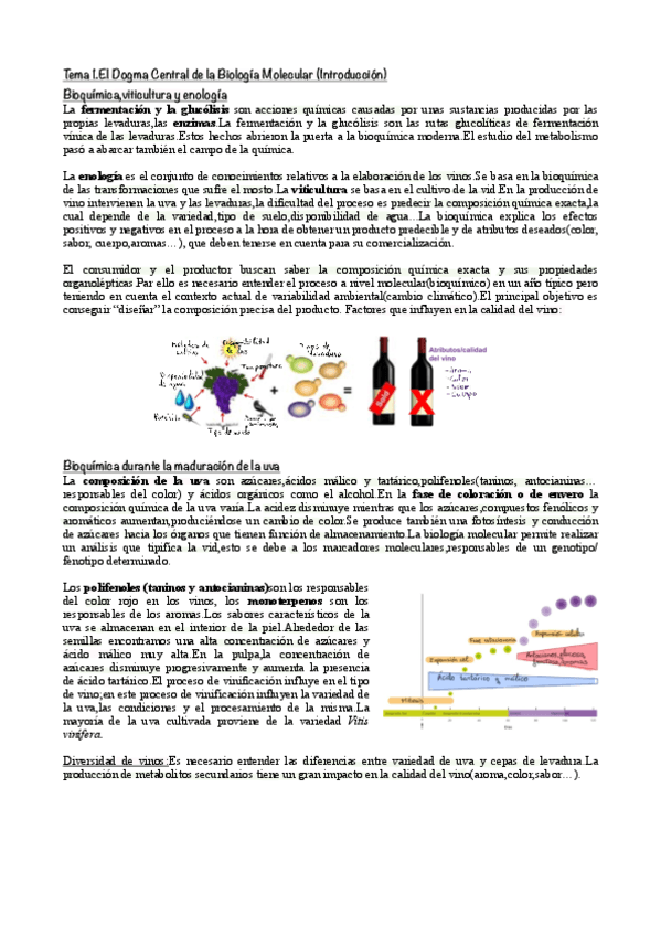 Tema-1.El-Dogma-Central-de-la-Biologia-Molecular-Introduccion.pdf
